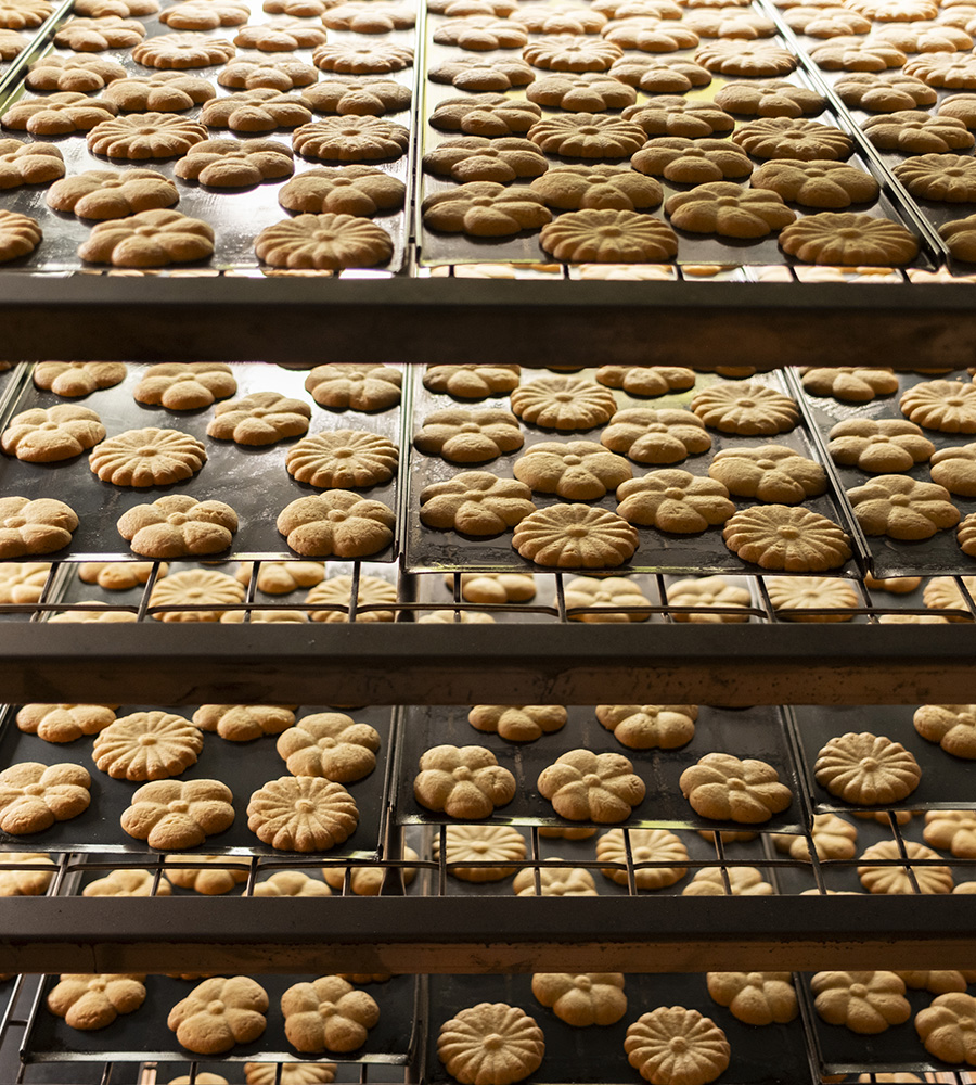 Biscuits artisanaux de l’abbaye de Soleilmont disposés sur des plaques de cuisson